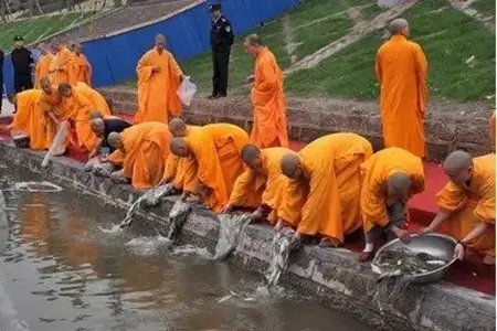 如此类的“放生”屡见不鲜，这是十分愚痴的举动