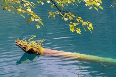 让人生更幸福，就要诸恶莫做、众善奉行