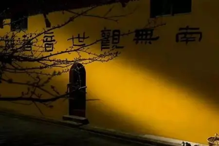 怎样才是一个真正的修行人应该做到的