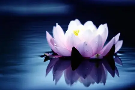 这样的“偏方”到底误害了多少众生？