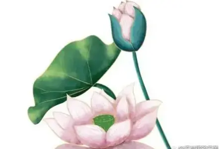 佛说万事皆因果,我们一定要学会谨言慎行