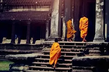 学佛让我成为了一个素食者，一个心怀慈悲的人