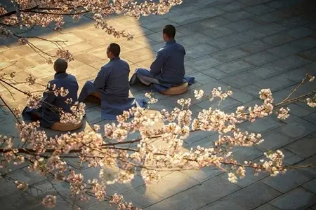 众生真的好可怜，自己也真的好可怜！