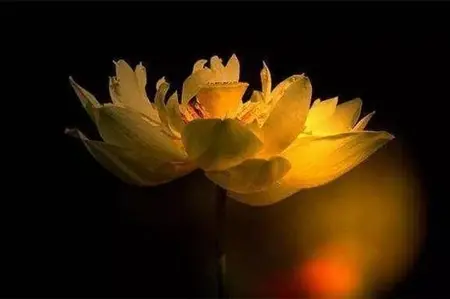 说说六道众生（三）饿鬼道众生是怎么一回事？