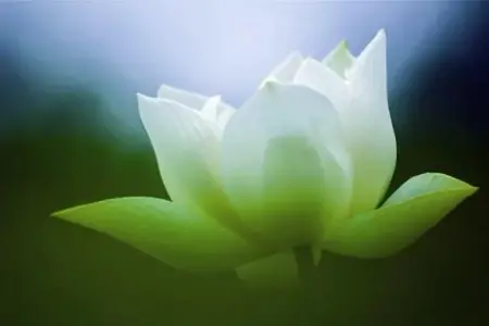 现在科学解释不了的事实，就可以一味否认吗？（上）