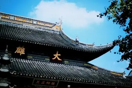 【佛教知识】佛法分几类？掌握这一点很重要！