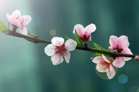 新认识佛教，认识末法时期